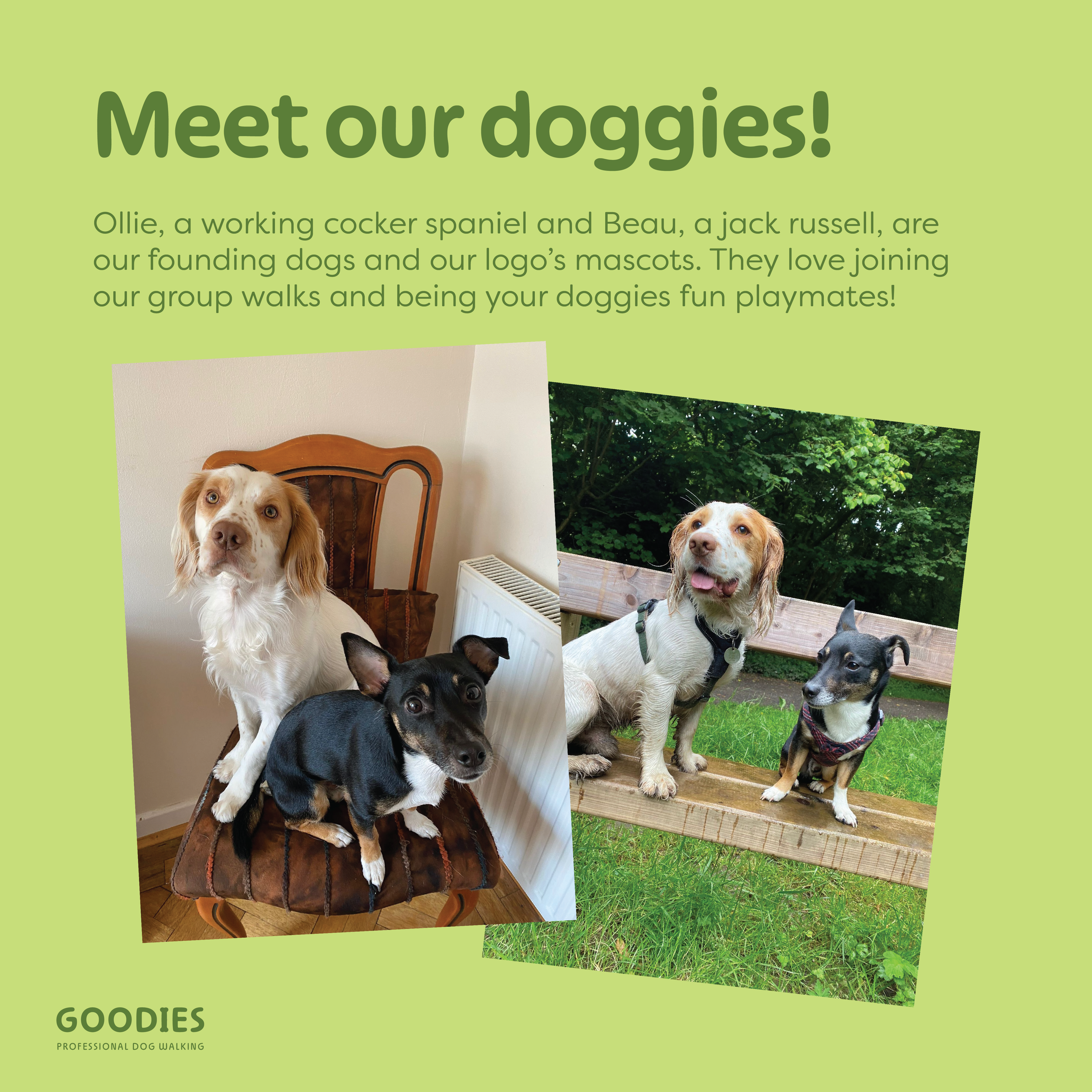 Meet our doggies! Ollie, a working cocker spaniel and Beau, a jack russell, are our founding dogs and our logo's mascots. They love joining our group walks and being your doggies fun playmates!